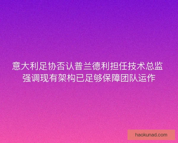 意大利足协否认普兰德利担任技术总监 强调现有架构已足够保障团队运作